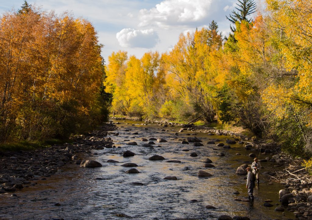 Die Universitäten sind aus ihrem Sommerschlaf erwacht – und wer aus dem Fenster seines Elfenbeinturms blickt, sieht einen Goldenen Oktober.