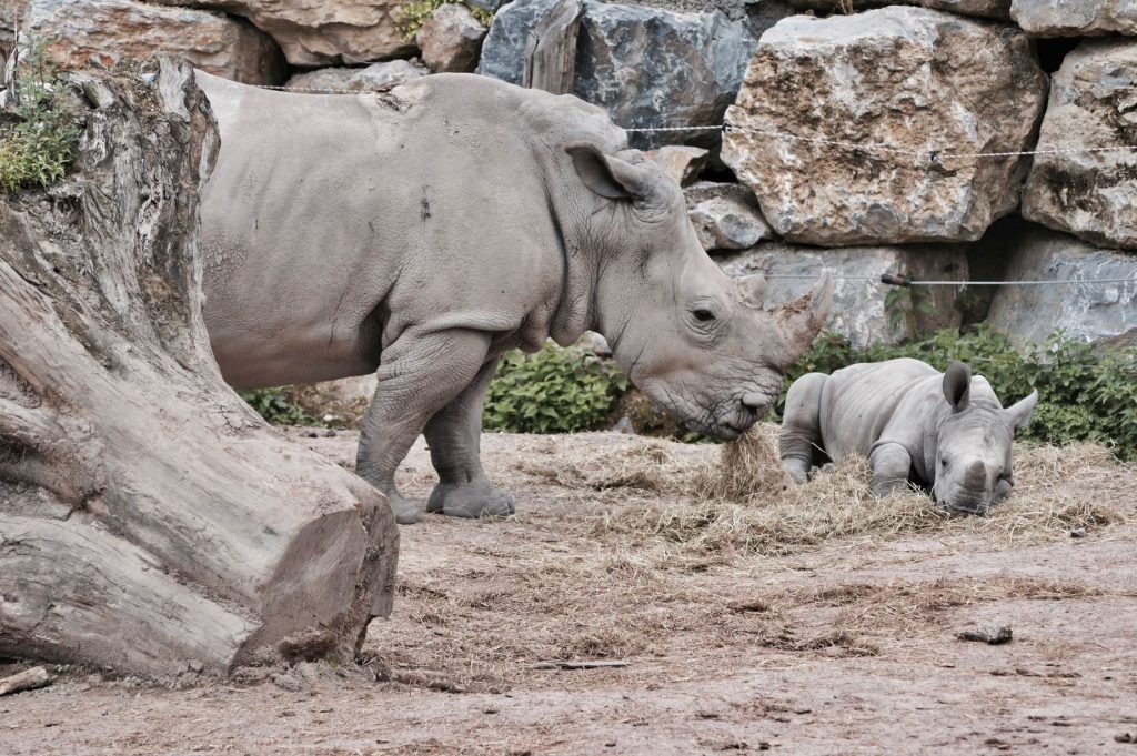EuGH sieht das als eins